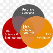 ���ֵ����Դ����ʯ��ͼ��ѧ����-������