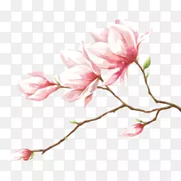 �����һ�-������