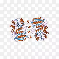 ʳƷ��������-������