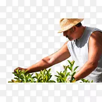 手指-宏-空若网 手指-宏-空若网