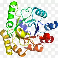 �����߶����������-������