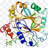 人体行为有机体珠宝剪贴画珠宝首饰-空若网 人体行为有机体珠宝剪贴画珠宝首饰-空若网