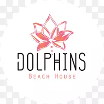 海豚海滩-空若网 海豚海滩-空若网