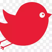 喙鱼夹艺术.呼唤-空若网 喙鱼夹艺术.呼唤-空若网