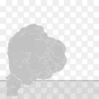 白花期效应-空若网 白花期效应-空若网