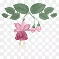 花设计花叶-花,紫色-空若网 花设计花叶-花,紫色-空若网