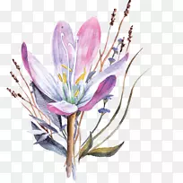 花卉设计水彩画礼品花水彩画-空若网 花卉设计水彩画礼品花水彩画-空若网