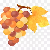 ����Ҷˮ������ʻ�����-������