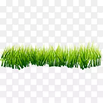 ��ɫrgb��ɫģ��-�ֻ��̲�-������