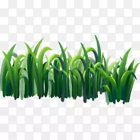 ²åͼ-Â̲ݱß-¿ÕÈôÍø ²åͼ-Â̲ݱß-¿ÕÈôÍø