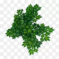 �ϵۣ����ã�����-���粩��-�ϵ�-������