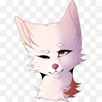 胡须,小猫,猫脸颊,鼻子-繁星的天空-空若网 胡须,小猫,猫脸颊,鼻子-繁星的天空-空若网