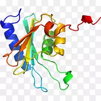 ƽ�����ֲ�ﾥ���������-������