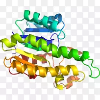 Êß²ËÓлúÌåϵÁмôÌù»-Êß²Ë-¿ÕÈôÍø Êß²ËÓлúÌåϵÁмôÌù»-Êß²Ë-¿ÕÈôÍø