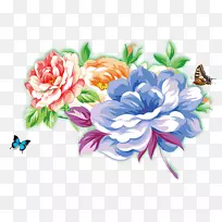 花瓣-空若网 花瓣-空若网