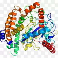 艺术身体珠宝有机体剪贴艺术珠宝首饰-空若网 艺术身体珠宝有机体剪贴艺术珠宝首饰-空若网