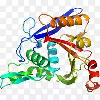 �����߶����������-������