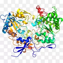 艺术身体珠宝有机体剪贴艺术珠宝首饰-空若网 艺术身体珠宝有机体剪贴艺术珠宝首饰-空若网