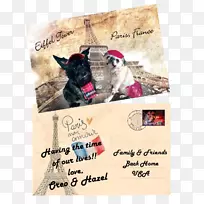 ���ƶ�������������ţ��������-���ƶ�����-������