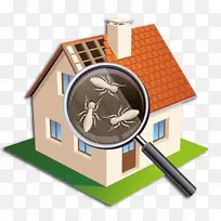 蟑螂昆虫白蚁防治蟑螂-空若网 蟑螂昆虫白蚁防治蟑螂-空若网