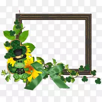 ������ƻ��򿪻�ֲ��Ҷ���-������