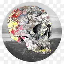 头盖骨墨水景观材料-空若网 头盖骨墨水景观材料-空若网