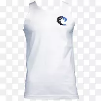 t����������ƽ�.t��-������