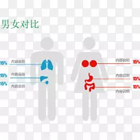 ����ͼ��ͼ��.���Ժ�Ů�ԱȽ�ͼ��-������