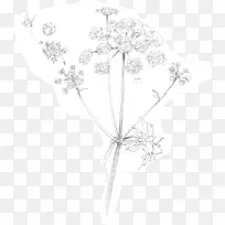 花瓣图案白色对称图案-叶-空若网 花瓣图案白色对称图案-叶-空若网