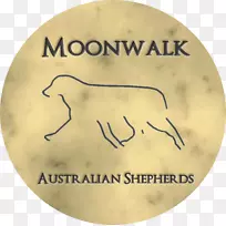 澳大利亚牧羊人文字巴西河ńSK字体-月光-空若网 澳大利亚牧羊人文字巴西河ńSK字体-月光-空若网