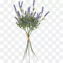 Ӣ��޹�²ݷ���޹�²��л�ֲ�ﾥ֦-������