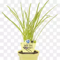 ´óËâÅß̥ѧѧ»á´óËâ¾Â²Ë²Ý´óËâ-¿ÕÈôÍø ´óËâÅß̥ѧѧ»á´óËâ¾Â²Ë²Ý´óËâ-¿ÕÈôÍø