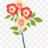 �л��������ֲ�ﾥ������-������