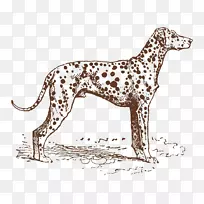 ���������С��Ȯ����Ȯ�ֻ���-������