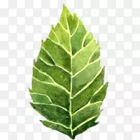 水彩画.水彩画花-空若网 水彩画.水彩画花-空若网