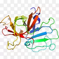 线点生物剪贴画线-空若网 线点生物剪贴画线-空若网
