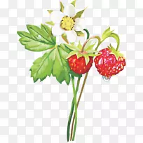 麝香草莓-空若网 麝香草莓-空若网