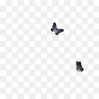 昆虫天空-空若网 昆虫天空-空若网