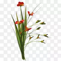 花卉设计蓝色桌面壁纸-花-空若网 花卉设计蓝色桌面壁纸-花-空若网