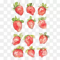 ˮ�ʻ�Aedmaasikas��ͼ.�ֻ��ݮ-������