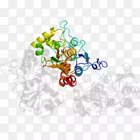 ƽ����ƿ�ͨƬ�������-������