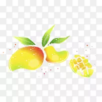 超级食品壁纸.手绘水彩芒果插图-空若网 超级食品壁纸.手绘水彩芒果插图-空若网