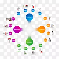 迈尔斯-布里格斯型人格类型INFP ESFP-INFJ-空若网 迈尔斯-布里格斯型人格类型INFP ESFP-INFJ-空若网