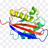 Ê߲˼ôÌù»-Êß²Ë-¿ÕÈôÍø Ê߲˼ôÌù»-Êß²Ë-¿ÕÈôÍø