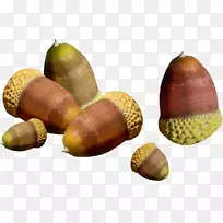 ����������-����-������