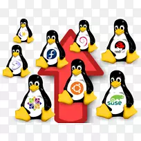 微软windows e linux macos unix-linux-空若网 微软windows e linux macos unix-linux-空若网