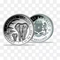 金银盎司索马里先令硬币-空若网 金银盎司索马里先令硬币-空若网
