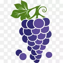 ������ɫ����-��ɫ��ͨ����-������