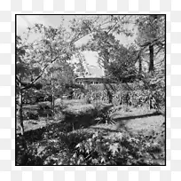 ºÀ˹½ÌÌÃÏï±±Íõ·°Ä´óÀûÑÇÕ¬»ùµØÍþ¶ûÑ·ÌÆÄɺÀÕ¬-¿ÕÈôÍø ºÀ˹½ÌÌÃÏï±±Íõ·°Ä´óÀûÑÇÕ¬»ùµØÍþ¶ûÑ·ÌÆÄɺÀÕ¬-¿ÕÈôÍø