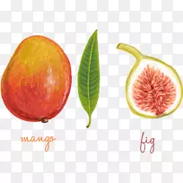 通用无花果图形设计.无花果和芒果的手工切割-空若网 通用无花果图形设计.无花果和芒果的手工切割-空若网